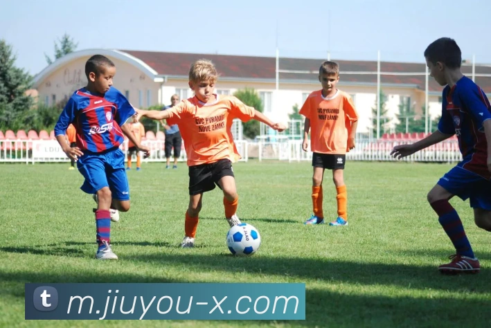 体育直播服务